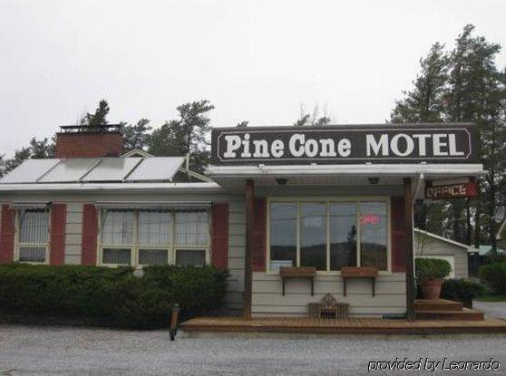 Pinecone Motel 서식스 외부 사진