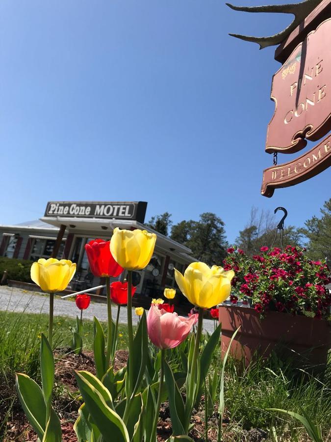 Pinecone Motel 서식스 외부 사진